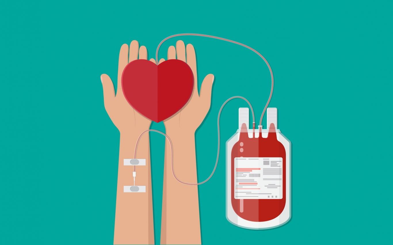 Донорство крови: льготы и гарантии