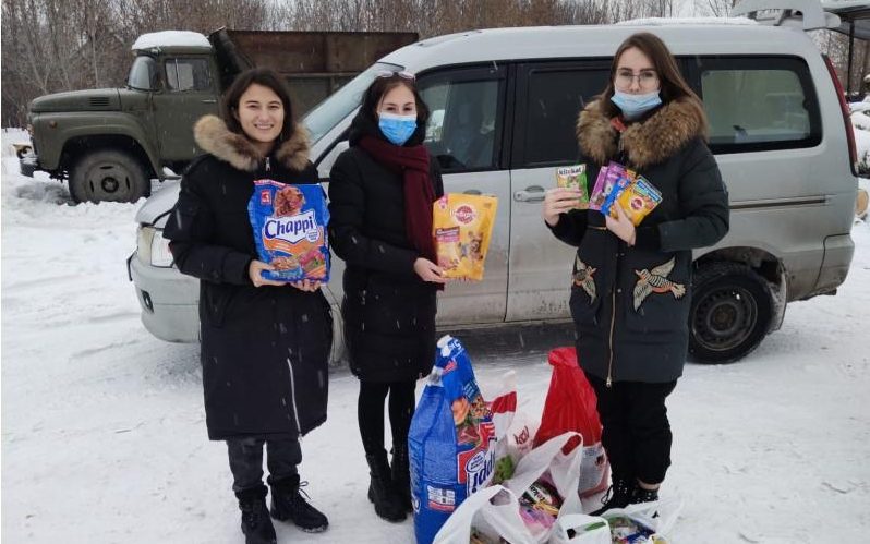 Барнаульские волонтёры передали 100 килограммов корма в приют для животных