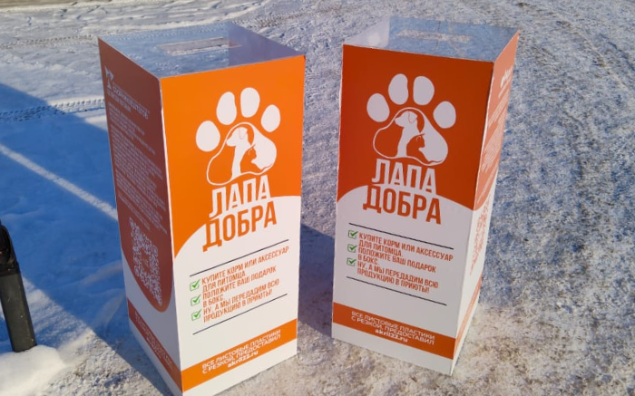 Волонтёрская акция «Лапа добра» стартовала в Новоалтайске и Заринске
